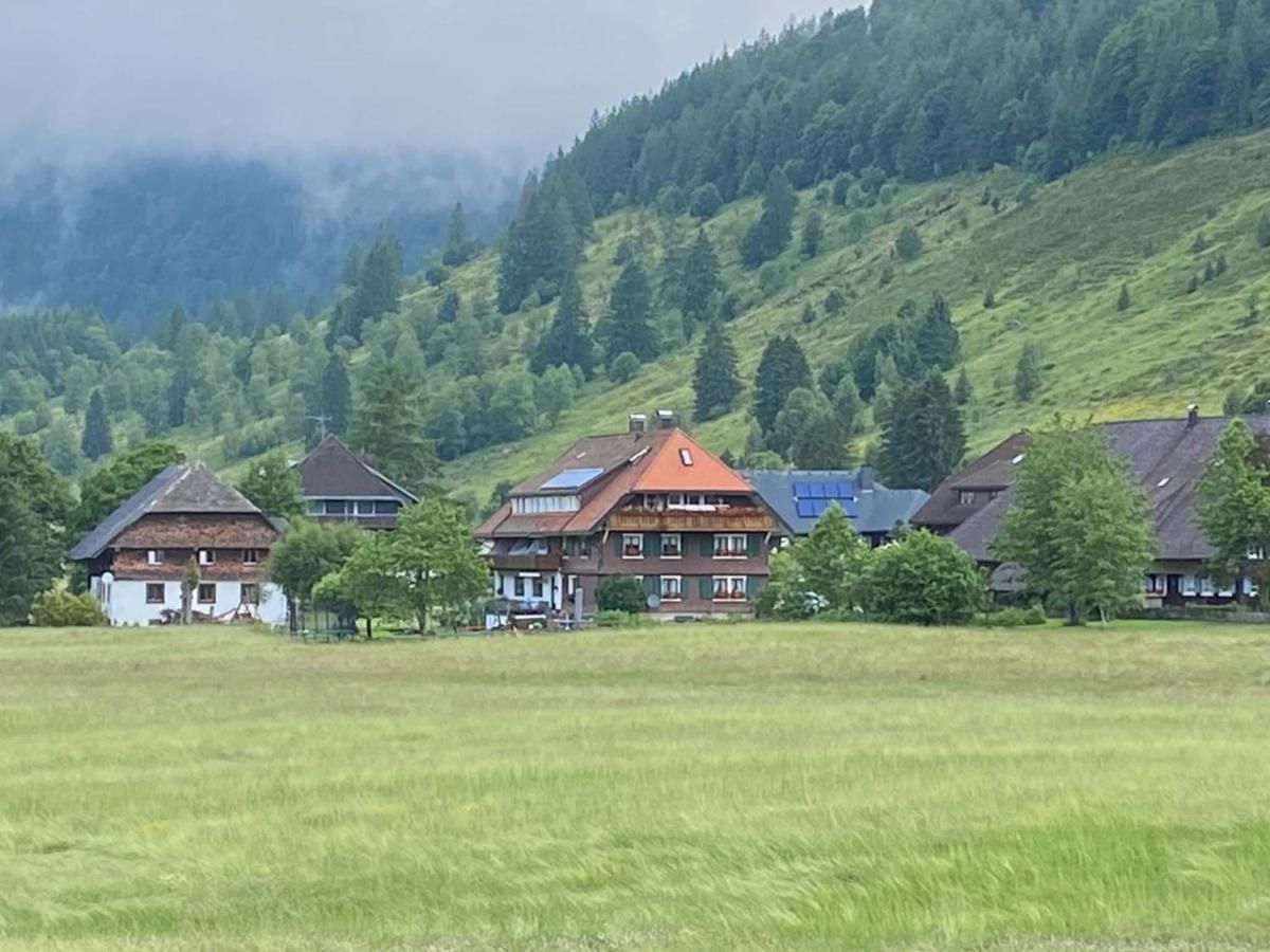 Gaestehaus Kaiser Menzenschwand-Hinterdorf Εξωτερικό φωτογραφία